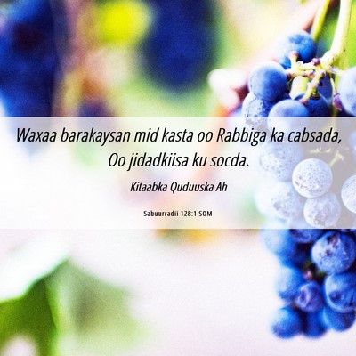 Picture 06 - Sabuurradii 128:1 SOM - Waxaa barakaysan mid kasta oo Rabbiga ka cabsada, - Bible Verse Picture