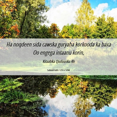 Picture 06 - Sabuurradii 129:6 SOM - Ha noqdeen sida cawska guryaha korkooda ka baxa - Bible Verse Picture