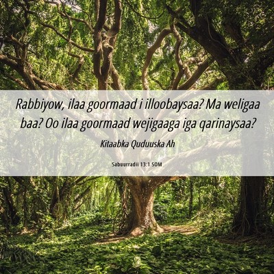 Picture 06 - Sabuurradii 13:1 SOM - Rabbiyow, ilaa goormaad i illoobaysaa? Ma weligaa - Bible Verse Picture