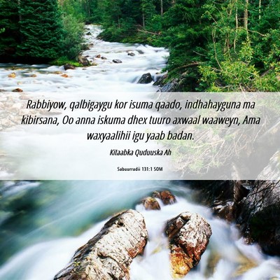 Picture 06 - Sabuurradii 131:1 SOM - Rabbiyow, qalbigaygu kor isuma qaado, - Bible Verse Picture