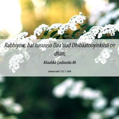Picture 06 - Sabuurradii 132:1 SOM - Rabbiyow, bal xusuuso Daa'uud Dhibaatooyinkiisii - Bible Verse Picture