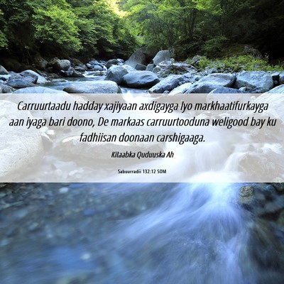 Picture 06 - Sabuurradii 132:12 SOM - Carruurtaadu hadday xajiyaan axdigayga Iyo - Bible Verse Picture