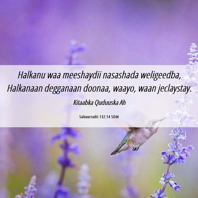 Picture 06 - Sabuurradii 132:14 SOM - Halkanu waa meeshaydii nasashada weligeedba, - Bible Verse Picture