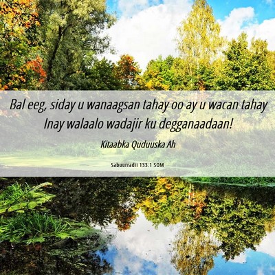 Picture 06 - Sabuurradii 133:1 SOM - Bal eeg, siday u wanaagsan tahay oo ay u wacan - Bible Verse Picture