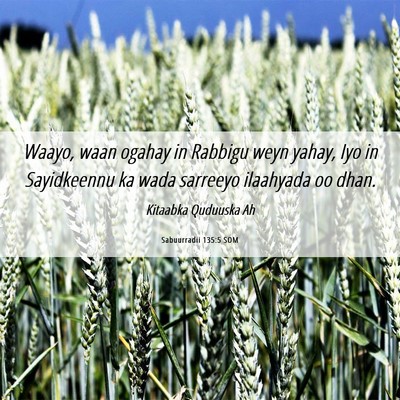 Picture 06 - Sabuurradii 135:5 SOM - Waayo, waan ogahay in Rabbigu weyn yahay, Iyo in - Bible Verse Picture