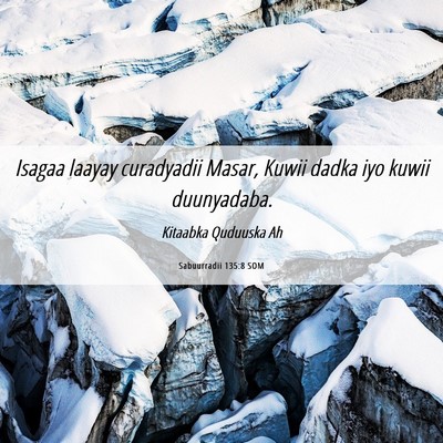 Picture 06 - Sabuurradii 135:8 SOM - Isagaa laayay curadyadii Masar, Kuwii dadka iyo - Bible Verse Picture