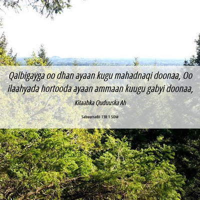 Picture 06 - Sabuurradii 138:1 SOM - Qalbigayga oo dhan ayaan kugu mahadnaqi doonaa, - Bible Verse Picture