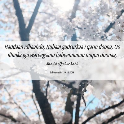 Picture 06 - Sabuurradii 139:11 SOM - Haddaan idhaahdo, Hubaal gudcurkaa i qarin doona, - Bible Verse Picture