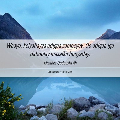 Picture 06 - Sabuurradii 139:13 SOM - Waayo, kelyahayga adigaa sameeyey, Oo adigaa igu - Bible Verse Picture