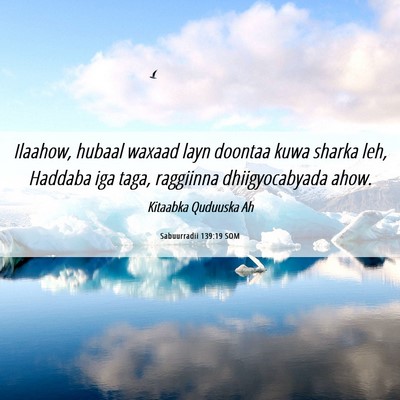 Picture 06 - Sabuurradii 139:19 SOM - Ilaahow, hubaal waxaad layn doontaa kuwa sharka - Bible Verse Picture