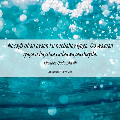 Picture 06 - Sabuurradii 139:22 SOM - Nacayb dhan ayaan ku necbahay iyaga, Oo waxaan - Bible Verse Picture
