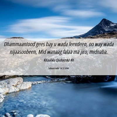 Picture 06 - Sabuurradii 14:3 SOM - Dhammaantood gees bay u wada leexdeen, oo way - Bible Verse Picture