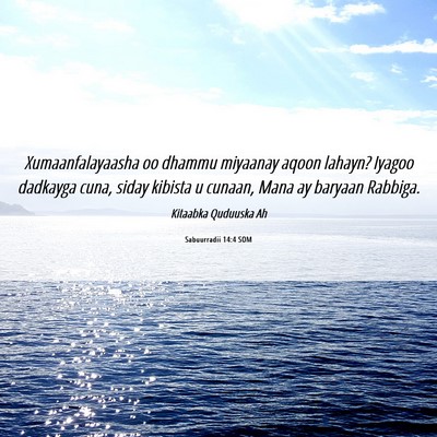 Picture 06 - Sabuurradii 14:4 SOM - Xumaanfalayaasha oo dhammu miyaanay aqoon lahayn? - Bible Verse Picture