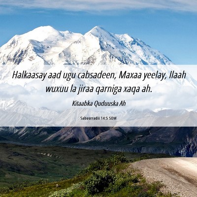Picture 06 - Sabuurradii 14:5 SOM - Halkaasay aad ugu cabsadeen, Maxaa yeelay, Ilaah - Bible Verse Picture