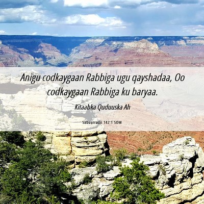 Picture 06 - Sabuurradii 142:1 SOM - Anigu codkaygaan Rabbiga ugu qayshadaa, Oo - Bible Verse Picture