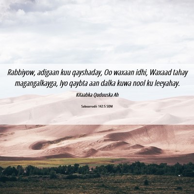 Picture 06 - Sabuurradii 142:5 SOM - Rabbiyow, adigaan kuu qayshaday, Oo waxaan idhi, - Bible Verse Picture