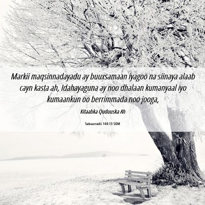 Picture 06 - Sabuurradii 144:13 SOM - Markii maqsinnadayadu ay buuxsamaan iyagoo na - Bible Verse Picture