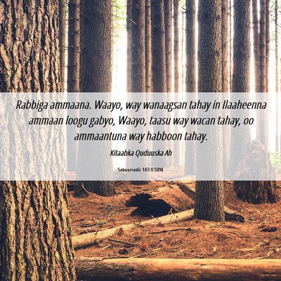 Picture 06 - Sabuurradii 147:1 SOM - Rabbiga ammaana. Waayo, way wanaagsan tahay in - Bible Verse Picture