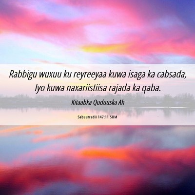 Picture 06 - Sabuurradii 147:11 SOM - Rabbigu wuxuu ku reyreeyaa kuwa isaga ka cabsada, - Bible Verse Picture