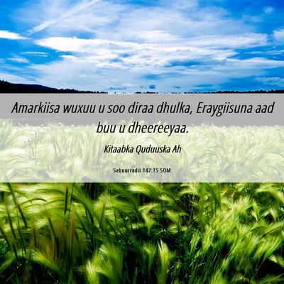 Picture 06 - Sabuurradii 147:15 SOM - Amarkiisa wuxuu u soo diraa dhulka, Eraygiisuna - Bible Verse Picture