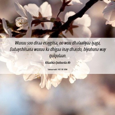Picture 06 - Sabuurradii 147:18 SOM - Wuxuu soo diraa eraygiisa, oo wuu dhalaaliyaa - Bible Verse Picture