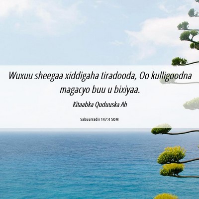 Picture 06 - Sabuurradii 147:4 SOM - Wuxuu sheegaa xiddigaha tiradooda, Oo kulligoodna - Bible Verse Picture