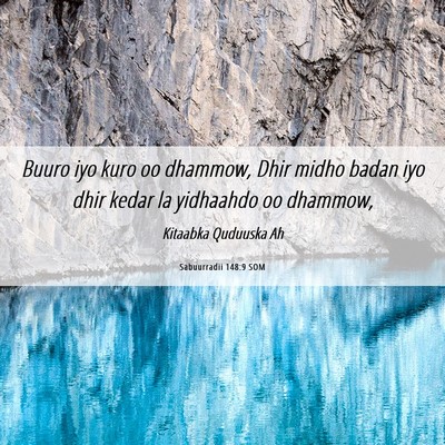 Picture 06 - Sabuurradii 148:9 SOM - Buuro iyo kuro oo dhammow, Dhir midho badan iyo - Bible Verse Picture