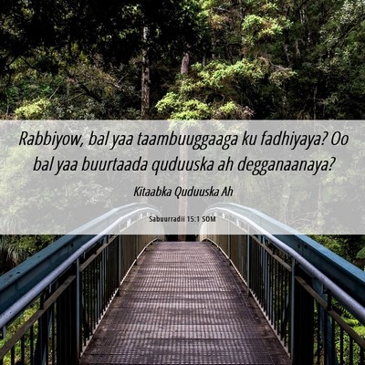 Picture 06 - Sabuurradii 15:1 SOM - Rabbiyow, bal yaa taambuuggaaga ku fadhiyaya? Oo - Bible Verse Picture