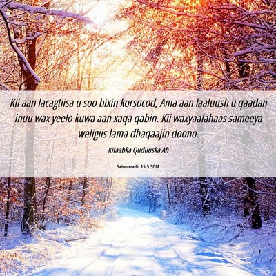 Picture 06 - Sabuurradii 15:5 SOM - Kii aan lacagtiisa u soo bixin korsocod, Ama aan - Bible Verse Picture