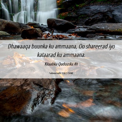 Picture 06 - Sabuurradii 150:3 SOM - Dhawaaqa buunka ku ammaana, Oo shareerad iyo - Bible Verse Picture
