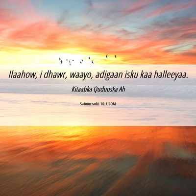 Picture 06 - Sabuurradii 16:1 SOM - Ilaahow, i dhawr, waayo, adigaan isku kaa - Bible Verse Picture