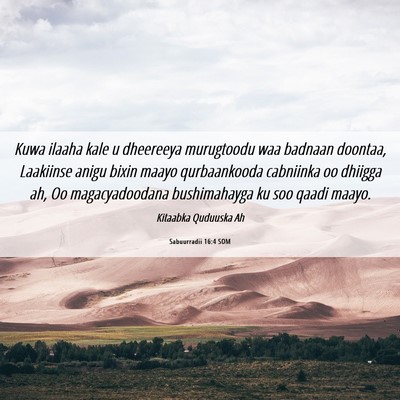 Picture 06 - Sabuurradii 16:4 SOM - Kuwa ilaaha kale u dheereeya murugtoodu waa - Bible Verse Picture