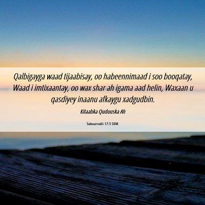 Picture 06 - Sabuurradii 17:3 SOM - Qalbigayga waad tijaabisay, oo habeennimaad i soo - Bible Verse Picture