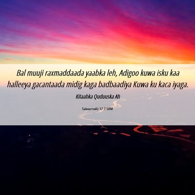 Picture 06 - Sabuurradii 17:7 SOM - Bal muuji raxmaddaada yaabka leh, Adigoo kuwa - Bible Verse Picture
