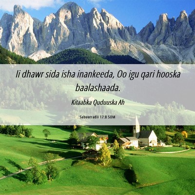 Picture 06 - Sabuurradii 17:8 SOM - Ii dhawr sida isha inankeeda, Oo igu qari hooska - Bible Verse Picture