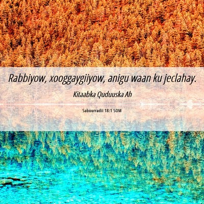 Picture 06 - Sabuurradii 18:1 SOM - Rabbiyow, xooggaygiiyow, anigu waan ku - Bible Verse Picture