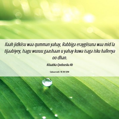 Picture 06 - Sabuurradii 18:30 SOM - Ilaah jidkiisu waa qumman yahay, Rabbiga - Bible Verse Picture