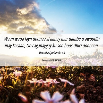 Picture 06 - Sabuurradii 18:38 SOM - Waan wada layn doonaa si aanay mar dambe u - Bible Verse Picture