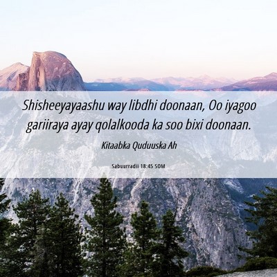 Picture 06 - Sabuurradii 18:45 SOM - Shisheeyayaashu way libdhi doonaan, Oo iyagoo - Bible Verse Picture
