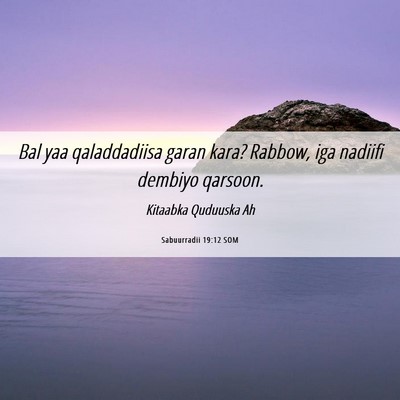 Picture 06 - Sabuurradii 19:12 SOM - Bal yaa qaladdadiisa garan kara? Rabbow, iga - Bible Verse Picture