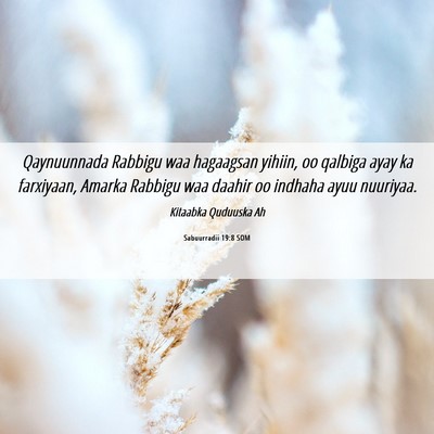 Picture 06 - Sabuurradii 19:8 SOM - Qaynuunnada Rabbigu waa hagaagsan yihiin, oo - Bible Verse Picture