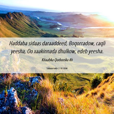 Picture 06 - Sabuurradii 2:10 SOM - Haddaba sidaas daraaddeed, Boqorradow, caqli - Bible Verse Picture