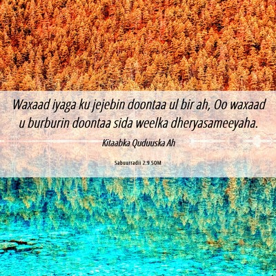 Picture 06 - Sabuurradii 2:9 SOM - Waxaad iyaga ku jejebin doontaa ul bir ah, Oo - Bible Verse Picture