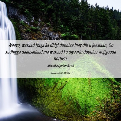 Picture 06 - Sabuurradii 21:12 SOM - Waayo, waxaad iyaga ka dhigi doontaa inay dib u - Bible Verse Picture