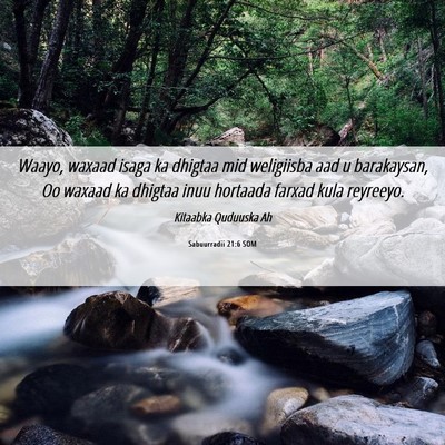 Picture 06 - Sabuurradii 21:6 SOM - Waayo, waxaad isaga ka dhigtaa mid weligiisba aad - Bible Verse Picture