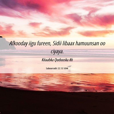 Picture 06 - Sabuurradii 22:13 SOM - Afkooday iigu fureen, Sidii libaax hamuunsan oo - Bible Verse Picture