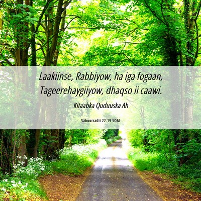 Picture 06 - Sabuurradii 22:19 SOM - Laakiinse, Rabbiyow, ha iga fogaan, - Bible Verse Picture