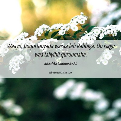 Picture 06 - Sabuurradii 22:28 SOM - Waayo, boqortooyada waxaa leh Rabbiga, Oo isagu - Bible Verse Picture