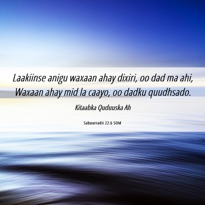 Picture 06 - Sabuurradii 22:6 SOM - Laakiinse anigu waxaan ahay dixiri, oo dad ma - Bible Verse Picture