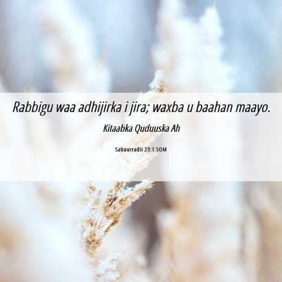 Picture 06 - Sabuurradii 23:1 SOM - Rabbigu waa adhijirka i jira; waxba u baahan - Bible Verse Picture